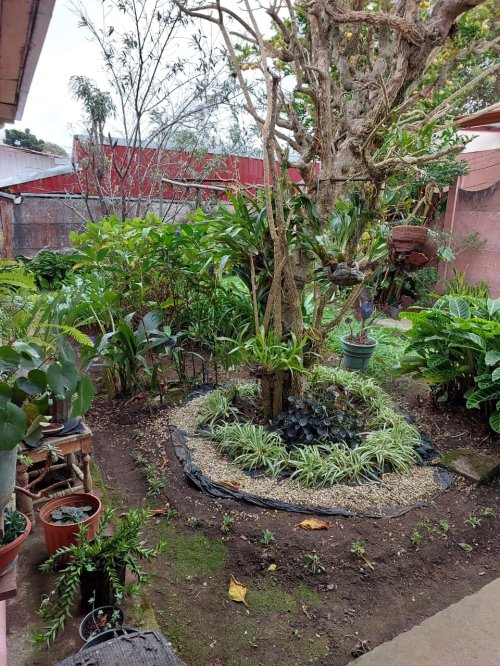 Se Vende como Lote Propiedad en San Antonio de Coronado.